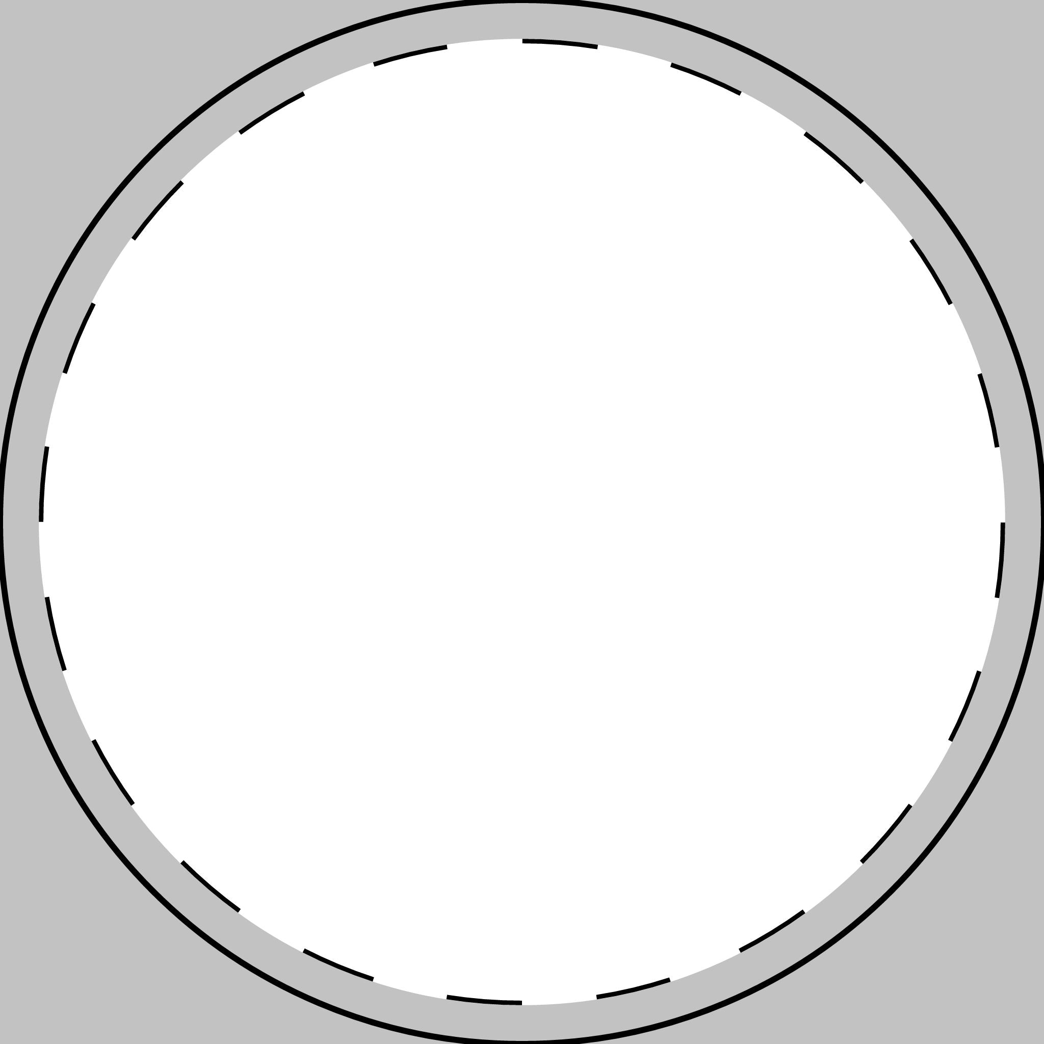 Engraved 10oz Rocks Glass — Patriotic Zebra "One Nation" Design